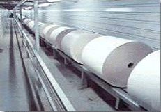 Roll Conveyor Chain